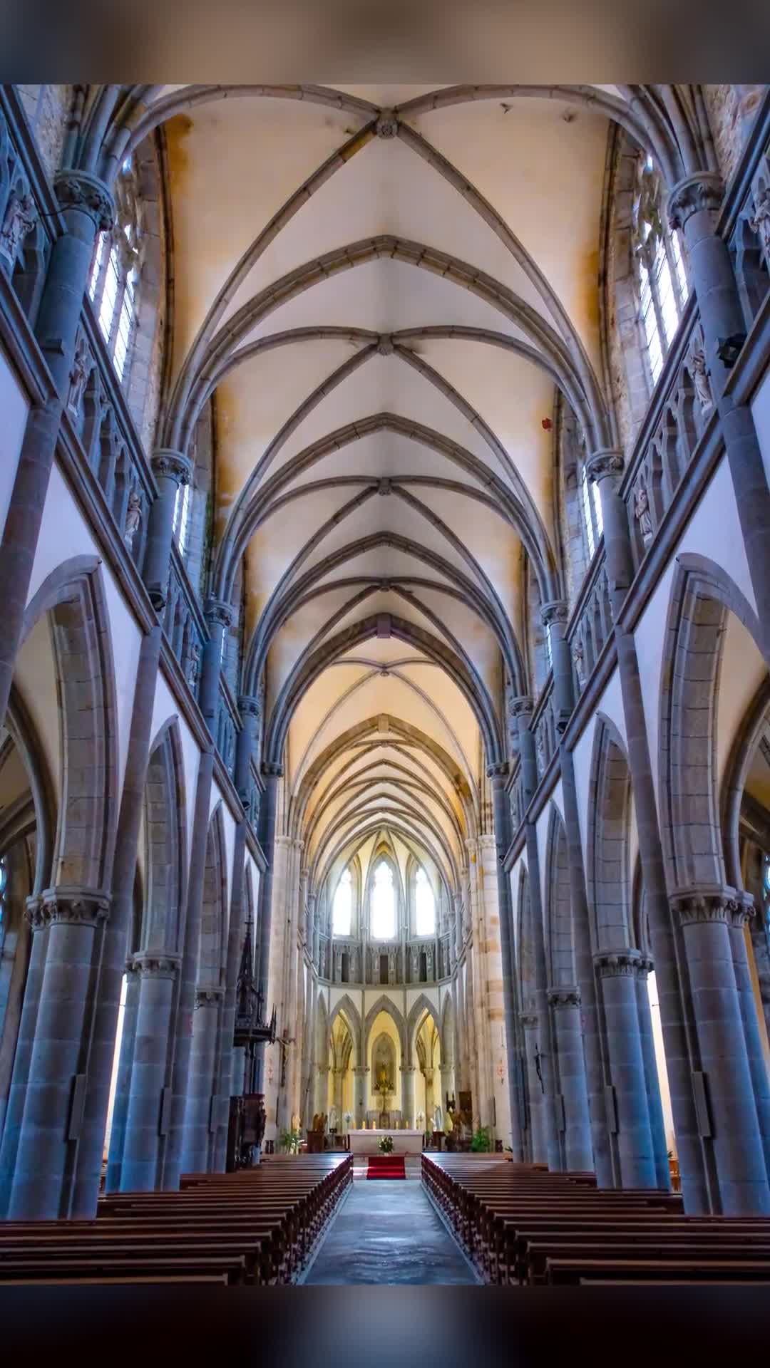Video de @gupiuser971485