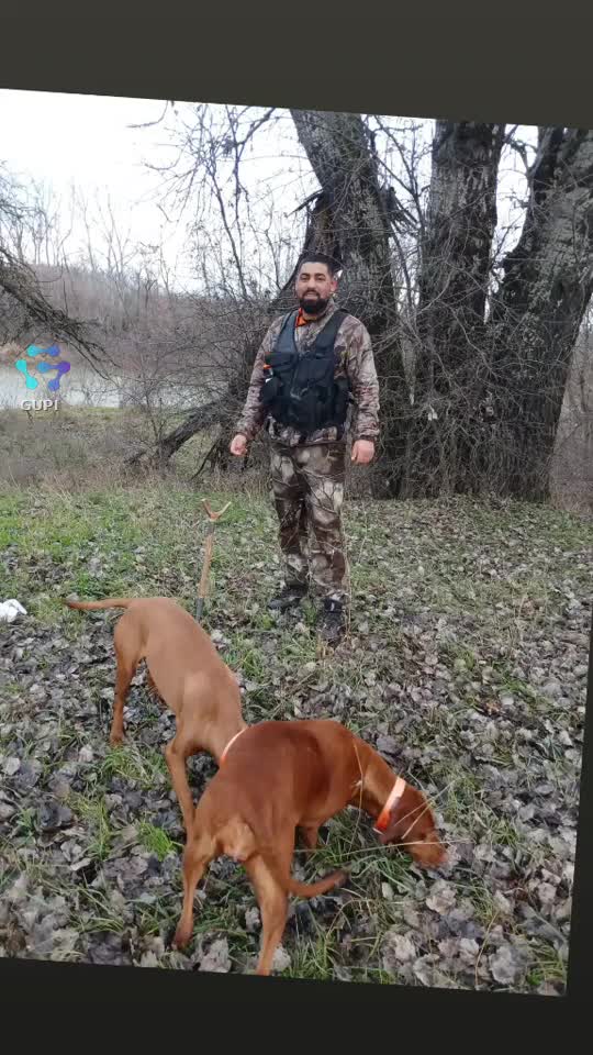 Video de @gupiuser329145