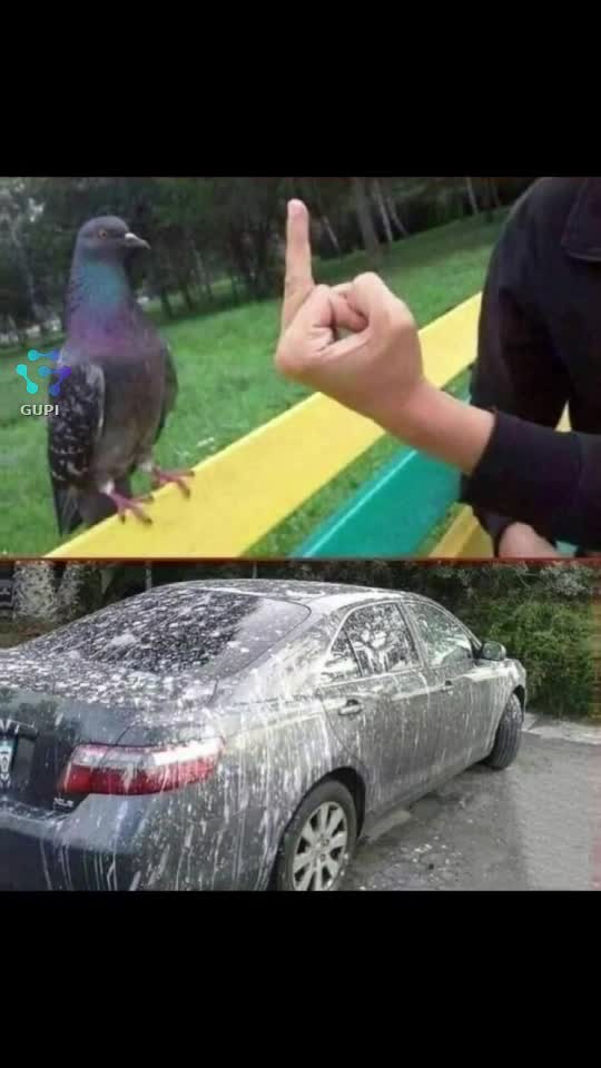 când faci rău... să nu te aștepți la bine...☝️😁😁