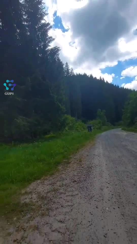 Video de @FLRica06