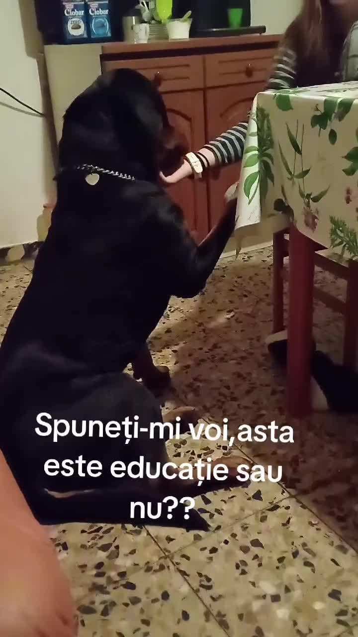 Educație contează!!#