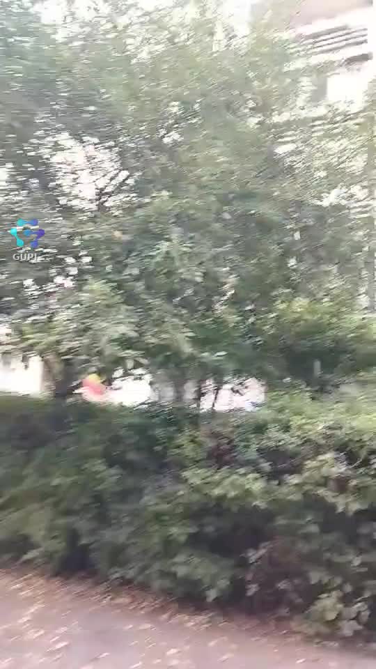 Nu văd pe nimeni ,inini de piatra care stau in casă si nui vede nimeni !