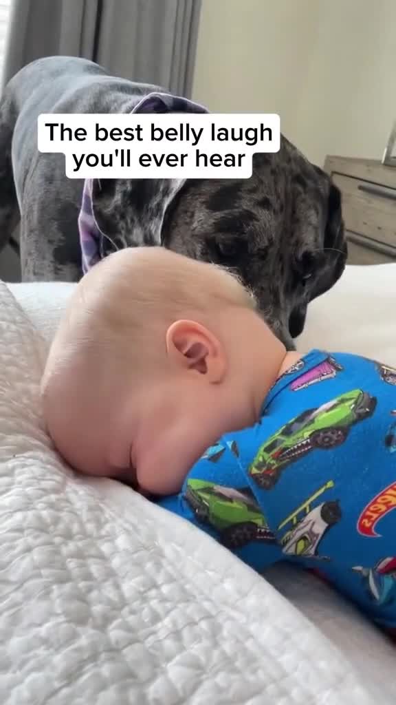 ⬇️ 𝗖𝗟𝗜𝗖𝗞 & 𝗦𝗨𝗕𝗦𝗖𝗥𝗜𝗕𝗘 ⬇️
➡️ www.bit.ly/GeorgeXMS ⬅️

Viral Kids & Babies Laugh 👶🏼 Lovely Moments 🤣 The most pure sound 🥰