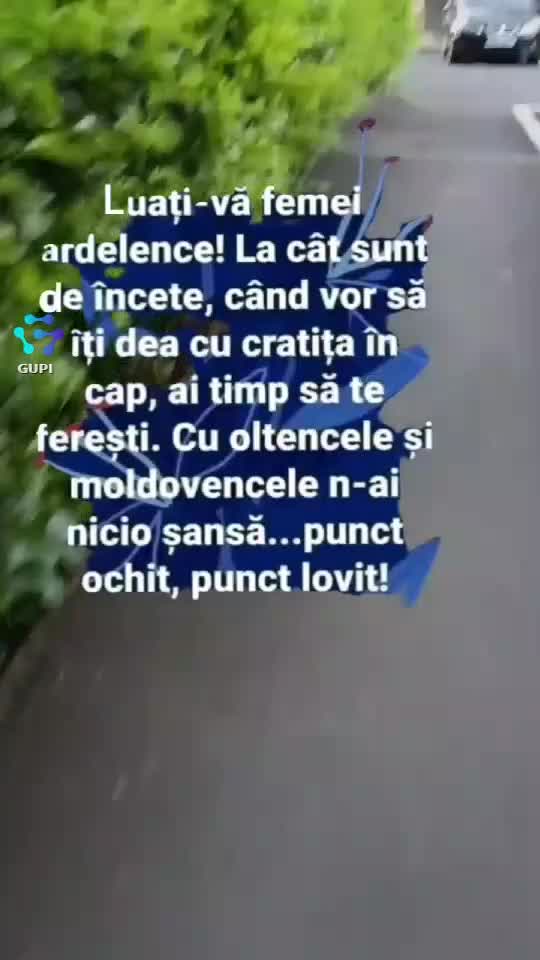 Video de @gupiuser106232
