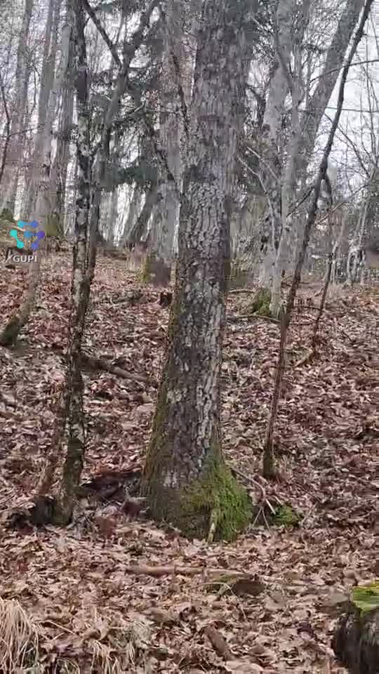 Privati c'è frumusete