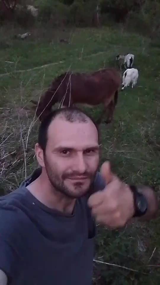 seara și noapte binecuvântata