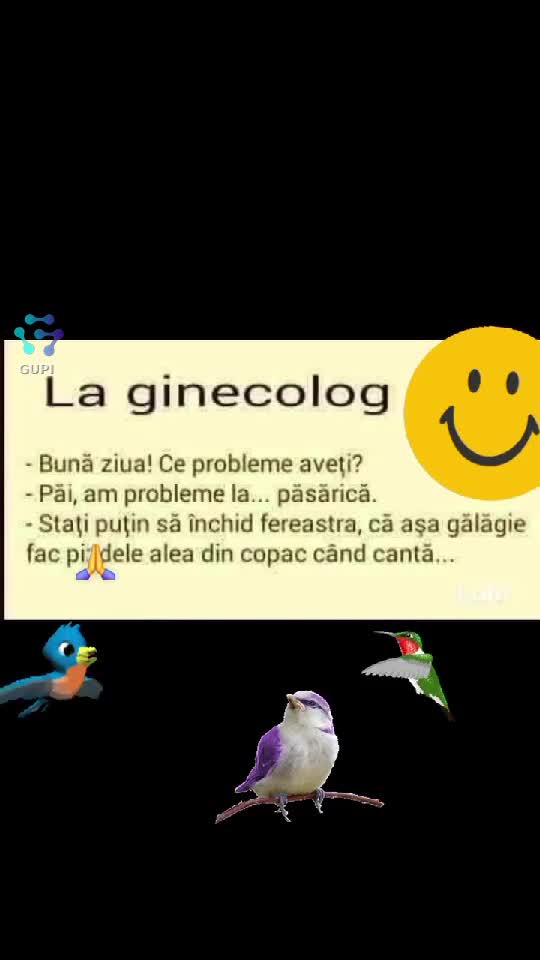 Video de @gupiuser82431