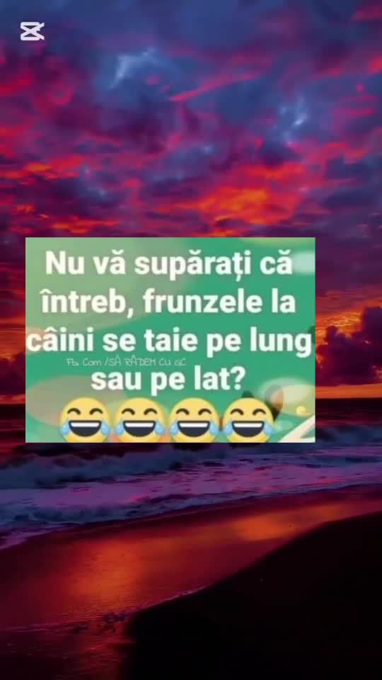 🇷🇴🤪🇷🇴#🇷🇴🤣🤣