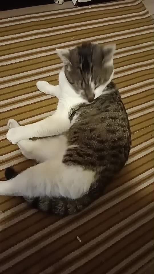 Tomy 😁🥰