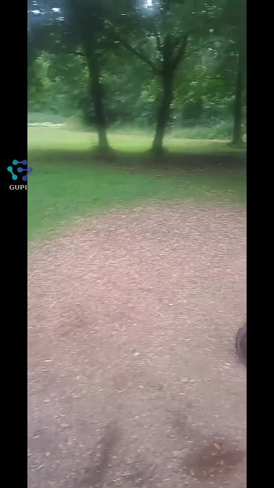 Video de @gupiuser274000