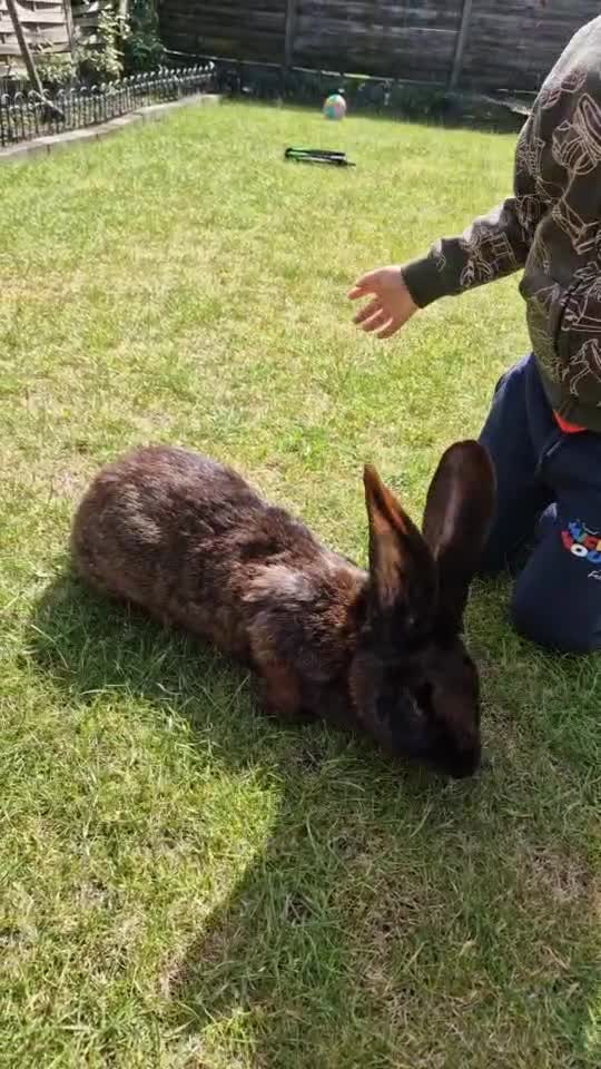 Pasiunea e totul