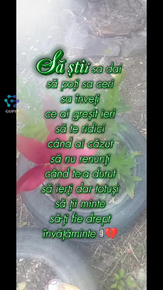 Video de @gupiuser28748
