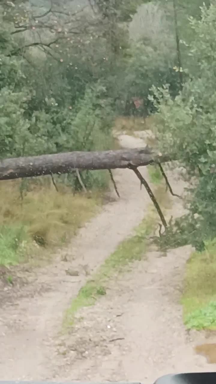 nu nu pleaca 🤣🤣🤣