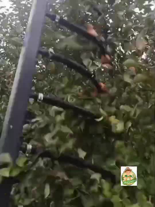 Metoda de scuturat