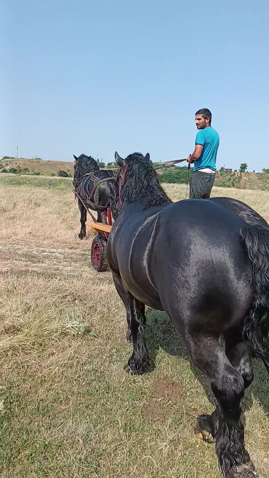 Video de @gupiuser1032280