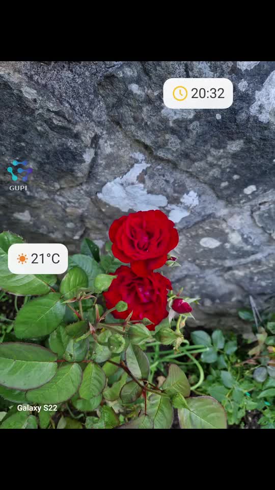 Video de @🌷🌷🌷SENA❤️❤️