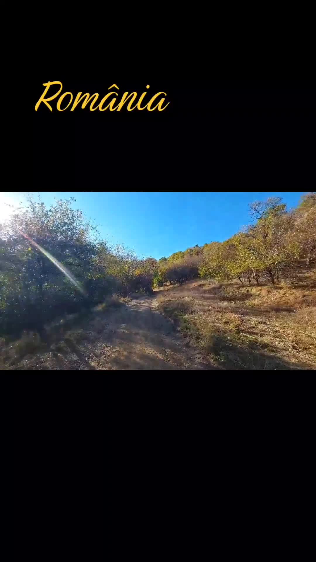 Video de @FLRica06
