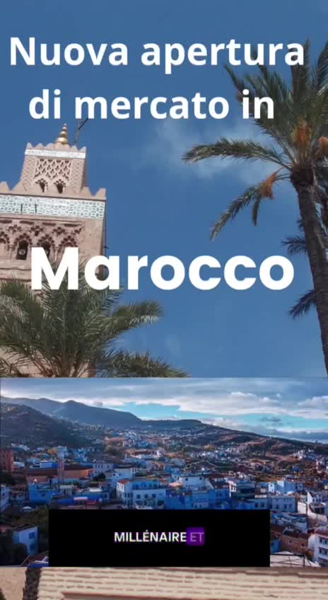 snep ajunge și pe meleagurile Marocului 🇲🇦🇲🇦