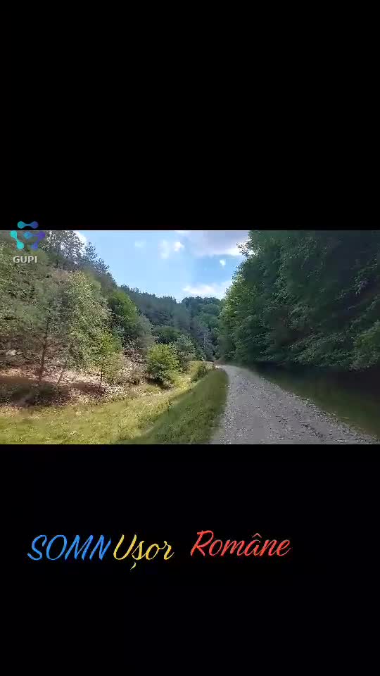 Video de @FLRica06