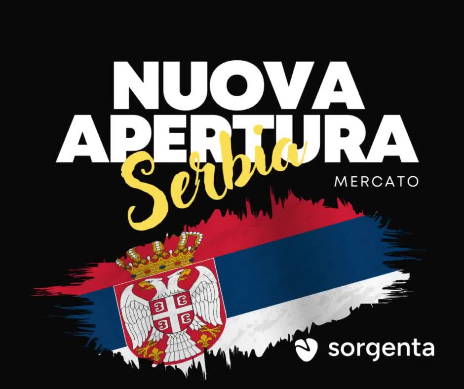 Oficial deschis pe Serbia cea mai tare companie 💪🏻