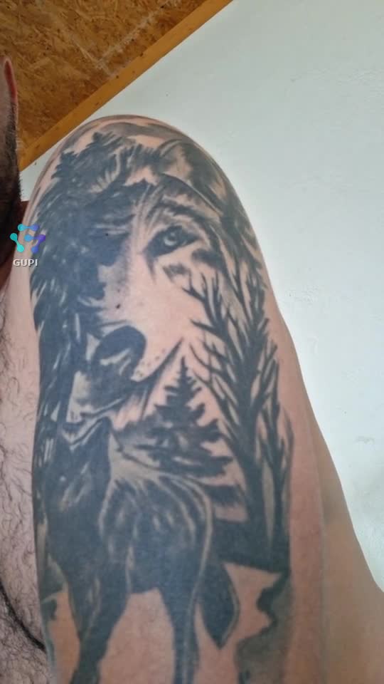Original Sound - pantera