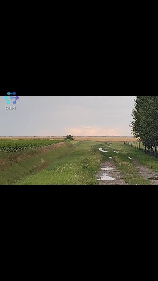 Video de @gupiuser156147