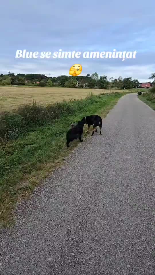 #gupy