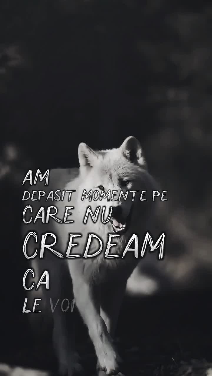 🥹🥹🥹ADEVARAT🥹🥹🥹