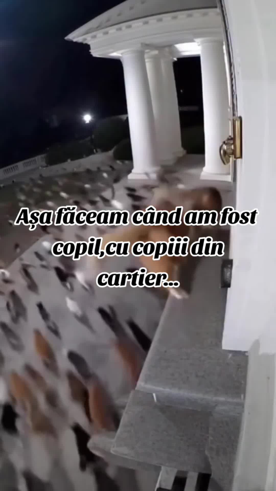 Video de @gupiuser144503