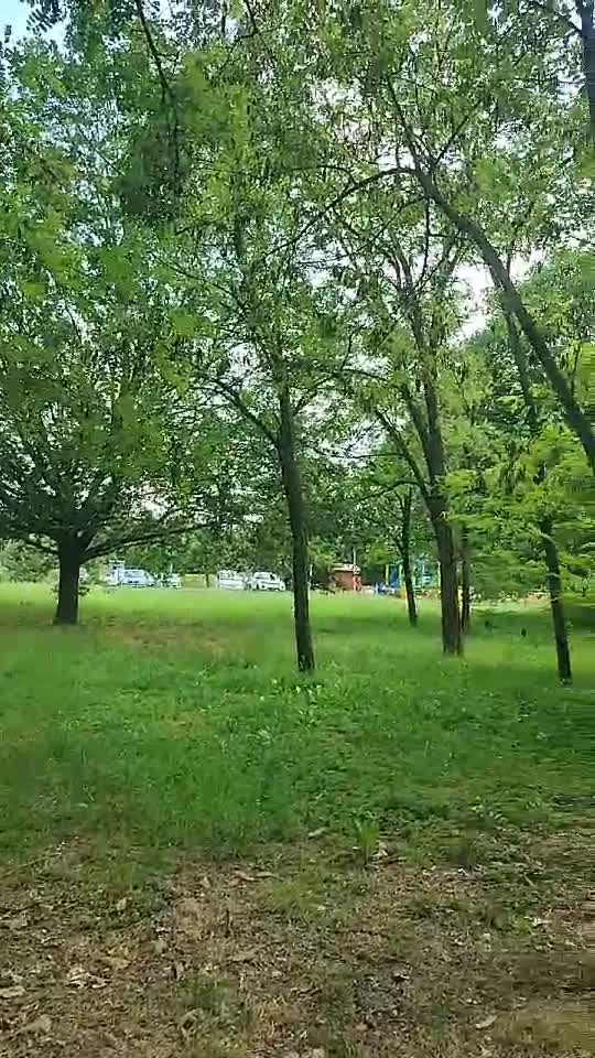 In parc..relax
