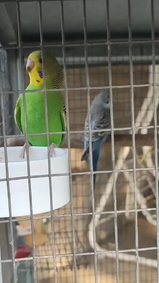 Familia fericită 🥰💕