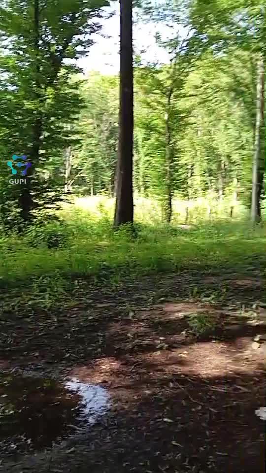 Video de @gupiuser248495