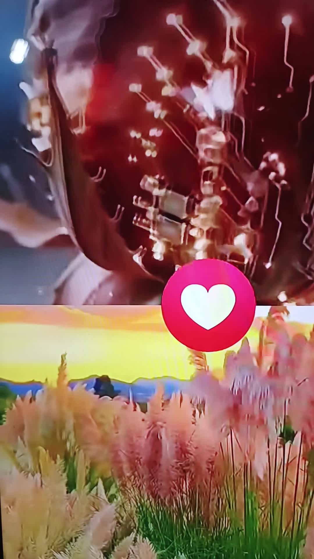 Video de @gupiuser868790