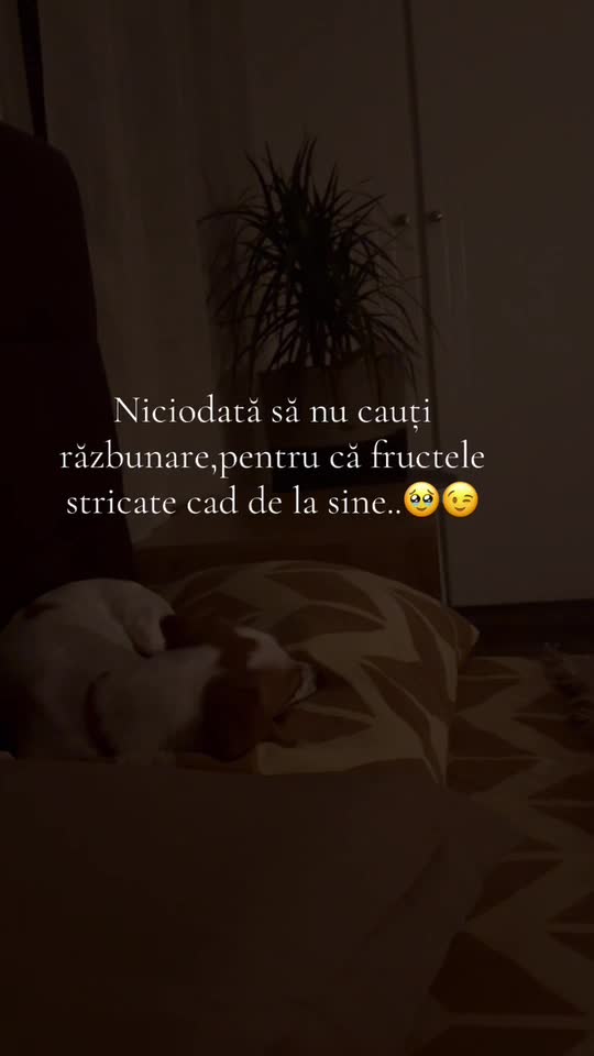 nu căuta răzbunare dumnezeu o să aibă grijă de toate
