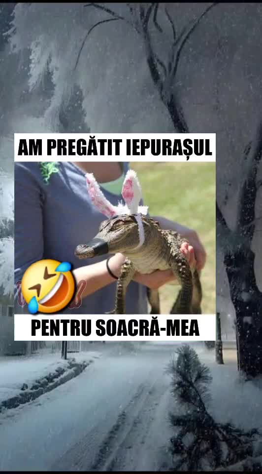 🇷🇴🤪🇷🇴#🇷🇴🤣🤣
