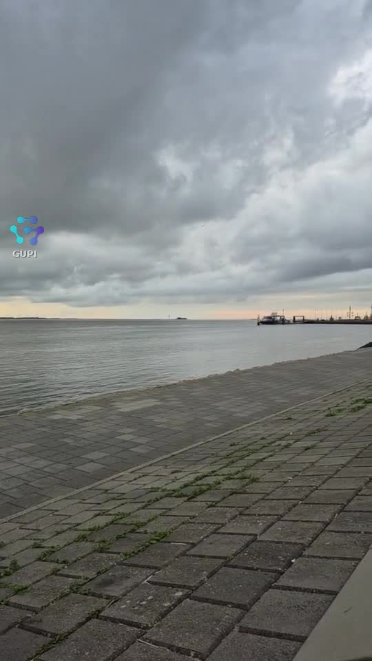 Video de @gupiuser320050