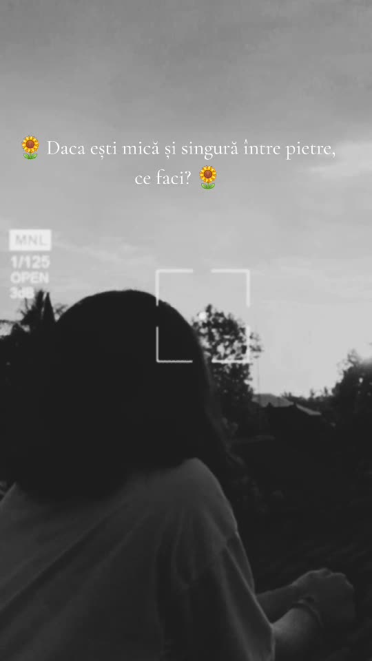 #🌻    #🌻