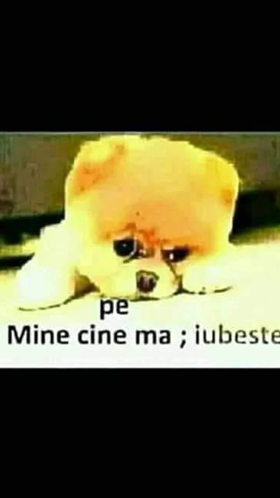 Video de @gupiuser28933