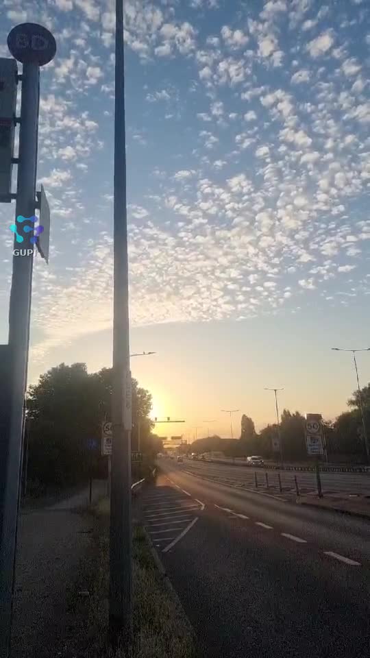 Video de @gupiuser158768