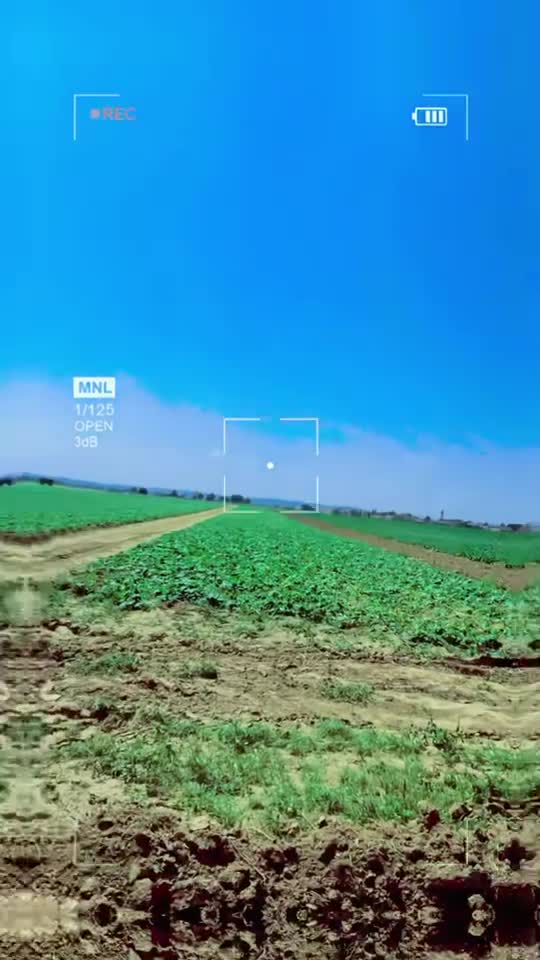 Original Sound - 🅰🆂🆄 ​  ​  ​  ​ 