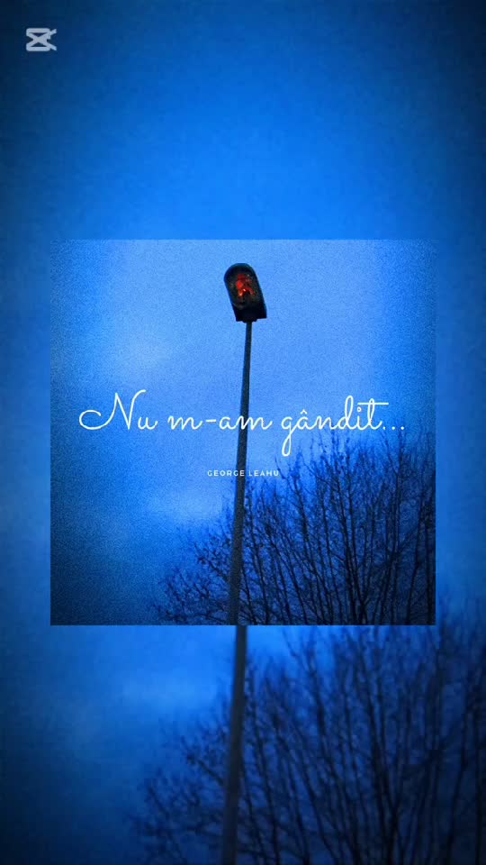 Nu m-am gândit...