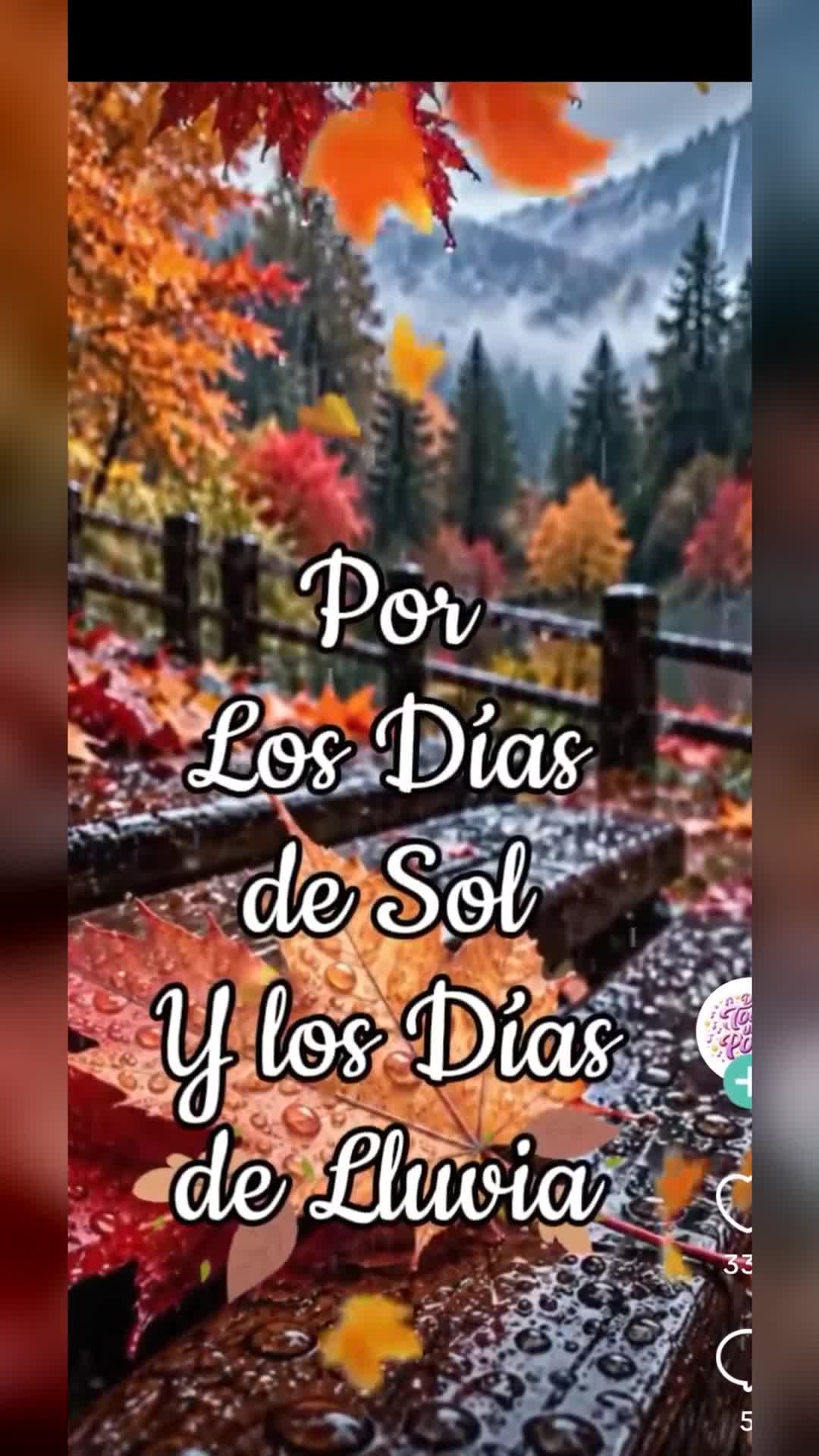 Video de @gupiuser822725