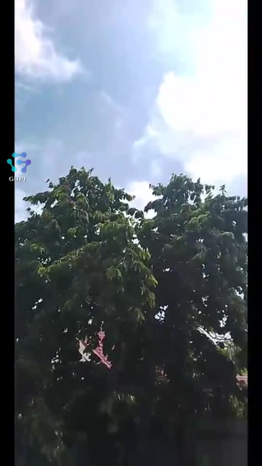 Video de @gupiuser167624
