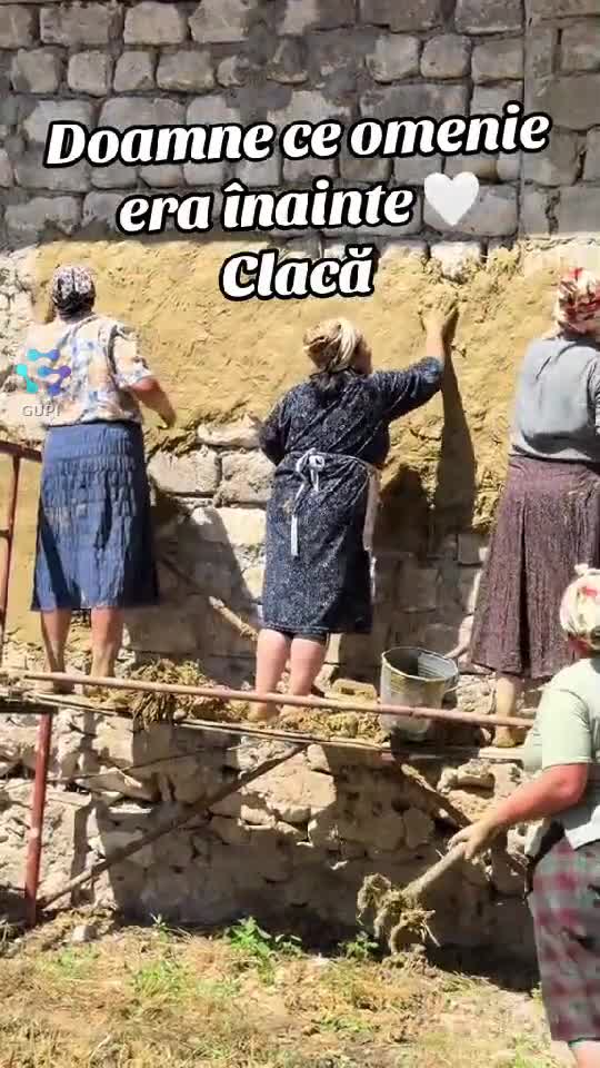 Video de @gupiuser147071