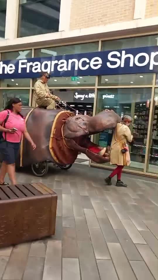 animåluț