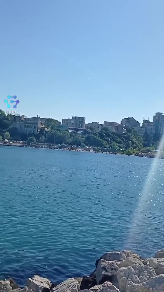 Video de @gupiuser131633