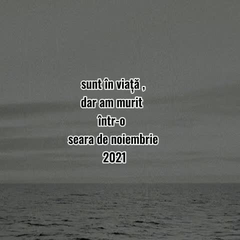 # 🦋  🌊🚢 #❤️
