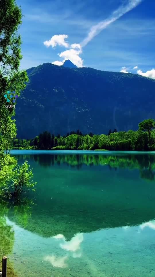 Video de @gupiuser82431