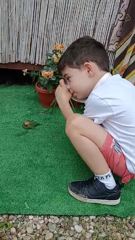 🦋🐛NATURA 🥀🐌