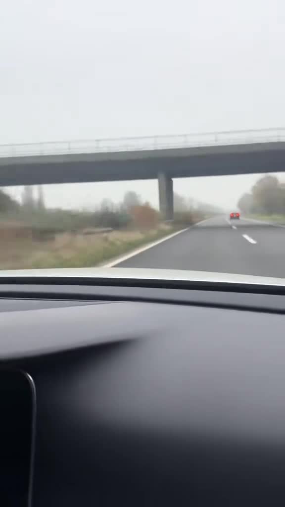 #shrek